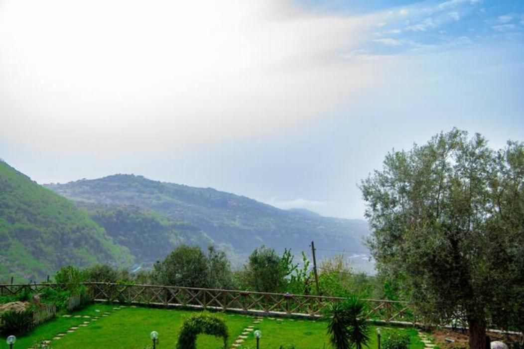 Villa Aurora Oasi Verde Sorrento Eksteriør billede