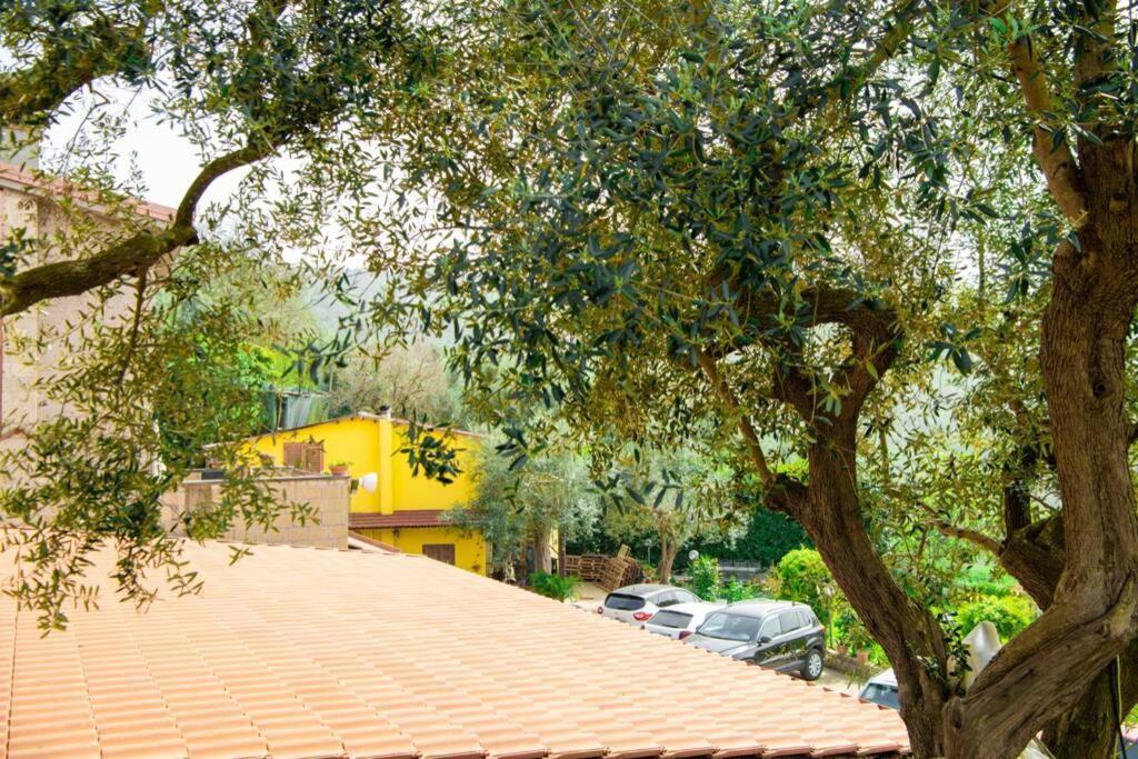 Villa Aurora Oasi Verde Sorrento Eksteriør billede